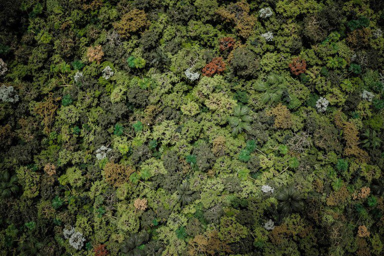 Tiwintza Mon Amour 1:1000